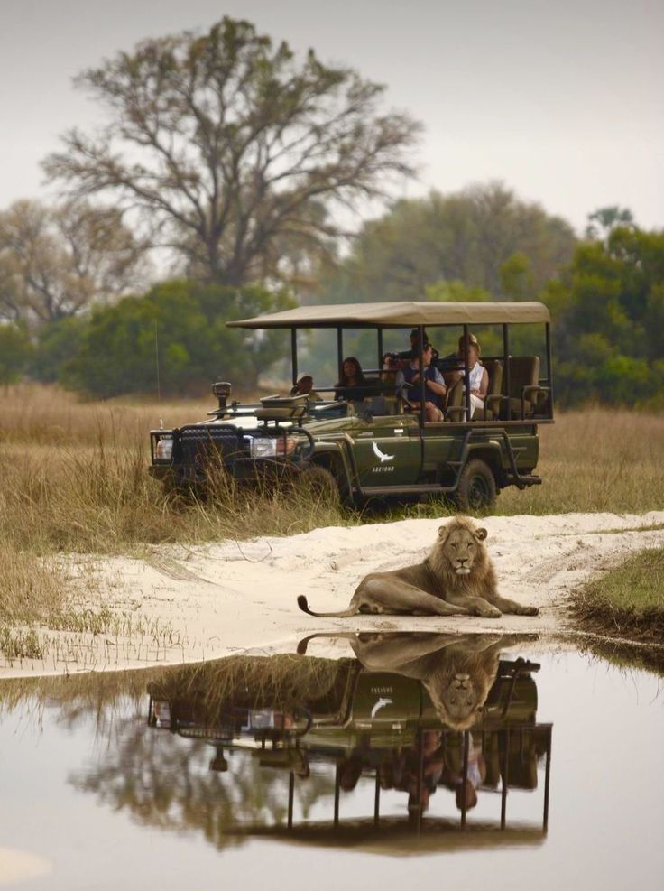 Serengeti